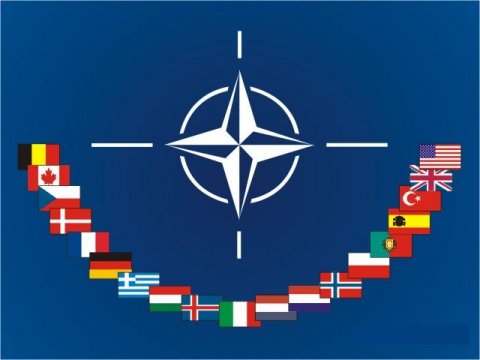 NATO Türkiyədən üzr istəyib
