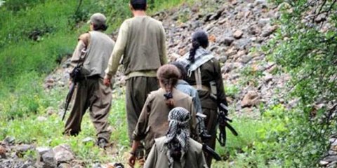 PKK-nın aldadıb dağa çıxardığı uşaqlar zorlanırlar