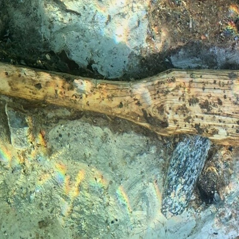 Daş dövrünə aid nadir balta tapılıb