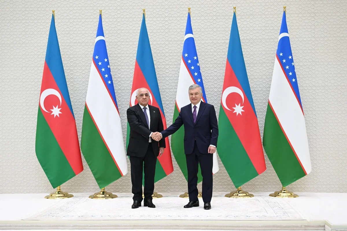 Əli Əsədov Özbəkistan Prezidenti ilə görüşüb
