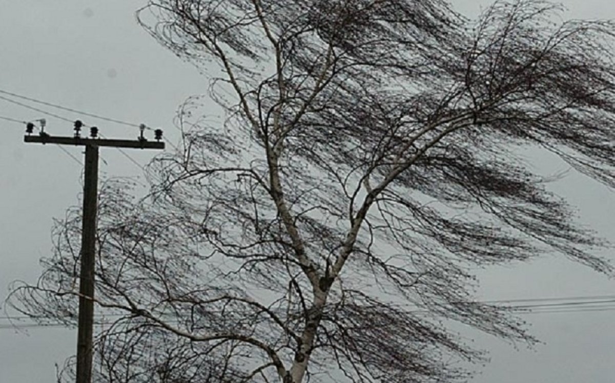 Sabahın hava proqnozu açıqlanıb