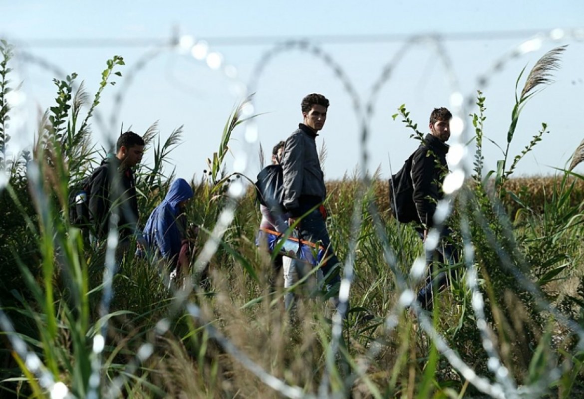  Qanunsuz miqrasiya yollarında təxminən 8000 insan ölüb