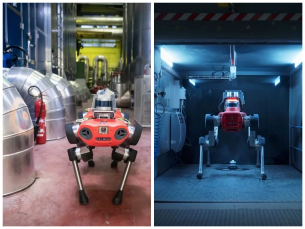 Robot müəssisəyə yarım milyon dollar qazandırıb