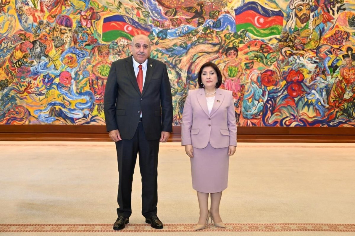 Sahibə Qafarova Nümayəndələr Palatasının sədri ilə görüşüb