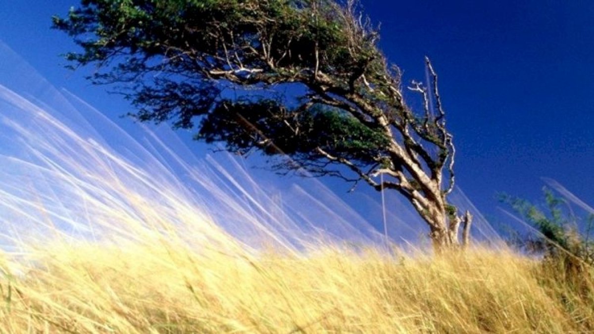 Güclü küləklə bağlı xəbərdarlıq edilib