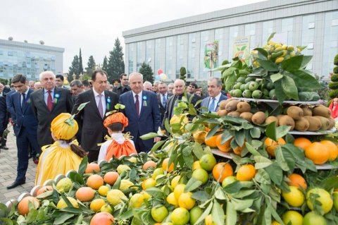 Limon ətirli  festivaldan narıngili foto-reportaj