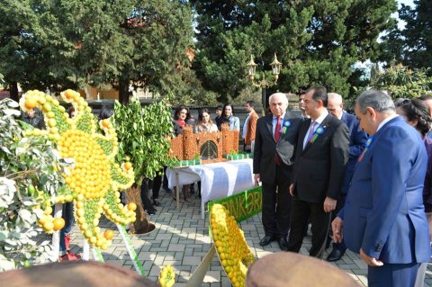 Limon ətirli  festivaldan narıngili foto-reportaj