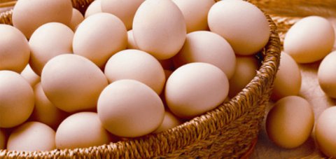 Quşçuluq fabriki yumurta istehsalını azalda bilər