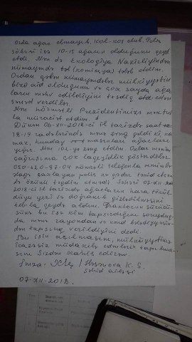“Yaşıl soyqırımı” ört-basdır edirlər – Məmurlar vətəndaşın həyətindən maddi sübutları oğurlayıb “Yaşıl soyqırımı” ört-basdır edirlər – Məmurlar vətəndaşın həyətindən maddi sübutları oğurlayıb