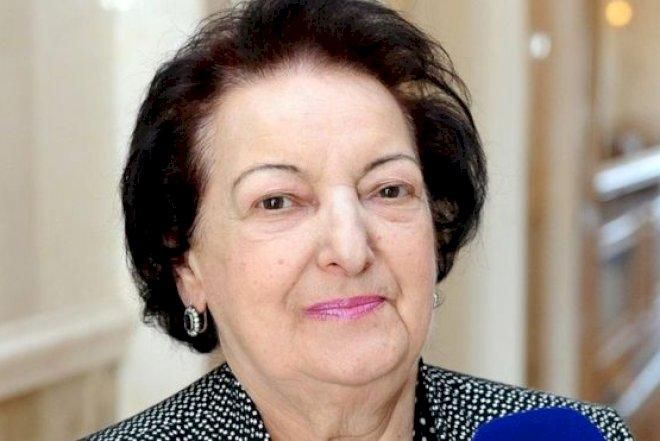 "Elmira Süleymanova istefa ərizəsi yazmayıb" - Ombudsman Aparatı açıqlama yaydı