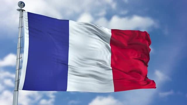 Fransa polisi Ermənistan bayrağının açılmasına imkan verməyib