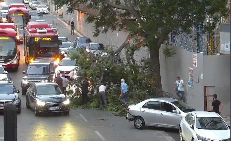 Bakı Nəqliyyat Agentliyi vətəndaşlara xəbərdarlıq 