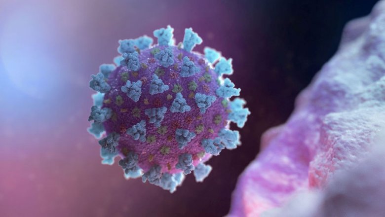 Koronavirus suda məhv olur