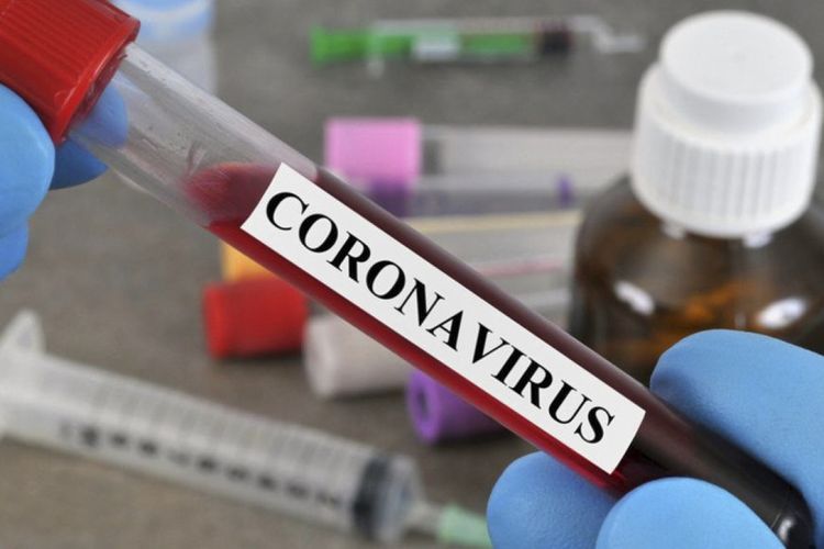 Gürcüstanda daha 3824 nəfərdə koronavirus aşkarlanıb