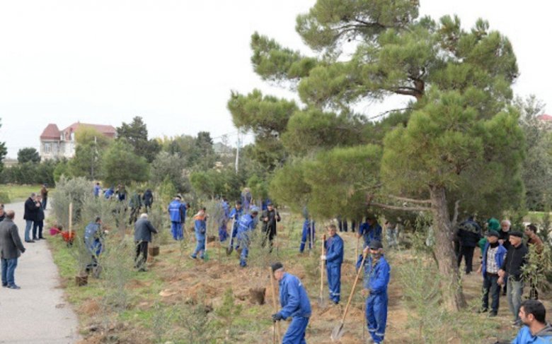 BŞİH və “Regional İnkişaf” İB-nin birgə təşkilatçılığı ilə ağacəkmə aksiyası keçirilib