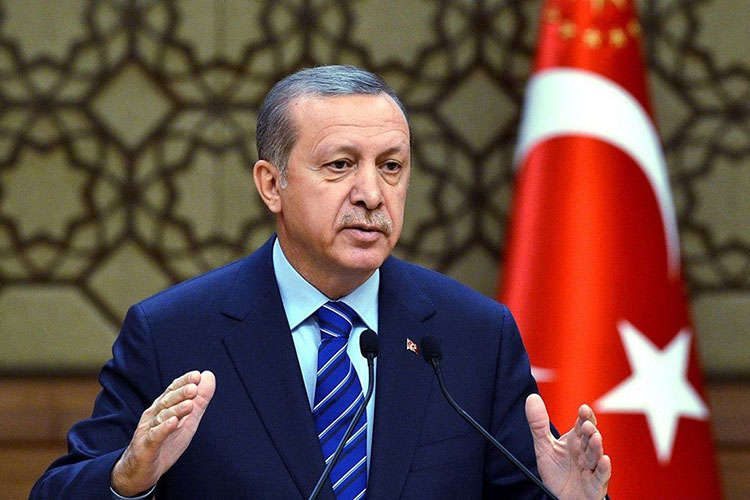 Türkiyə prezidenti Şahin Mustafayevi qəbul edib