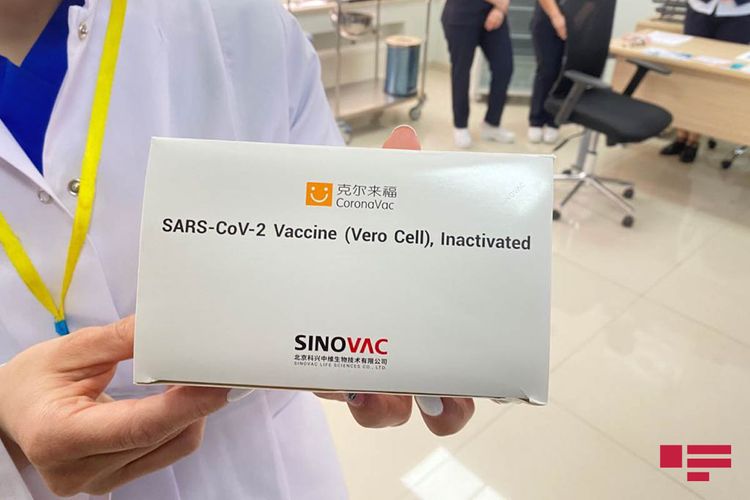 Gürcüstan Çin vaksininin tətbiqinə hazırlaşır