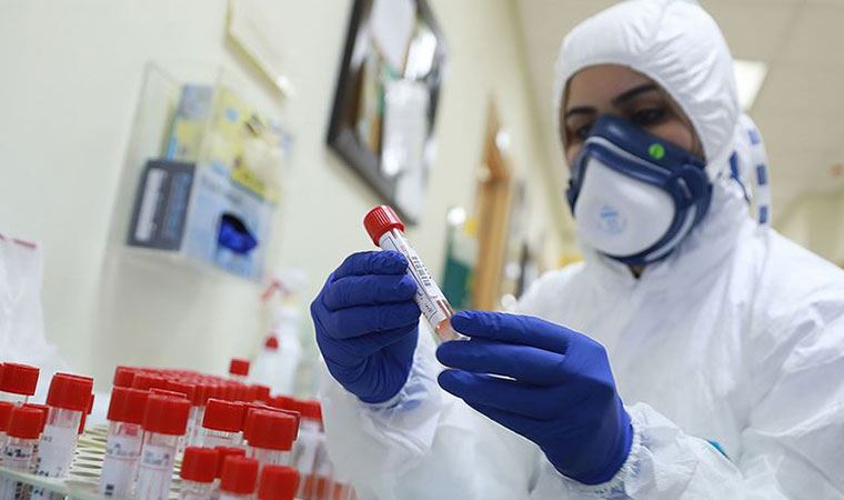 Azərbaycanda koronavirus: 220 yeni yoluxma, 6 ölüm qeydə alınıb