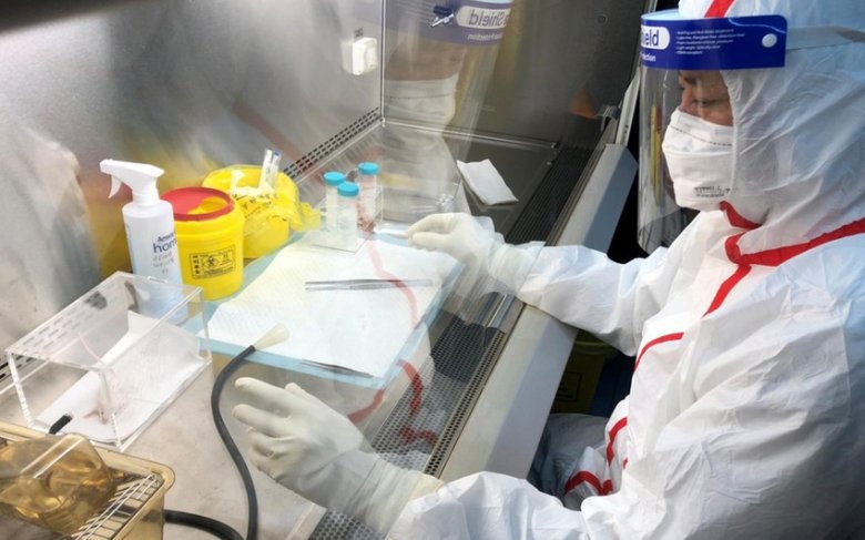 Çinli tədqiqatçılar: "Koronavirus təbii yolla yaranıb"