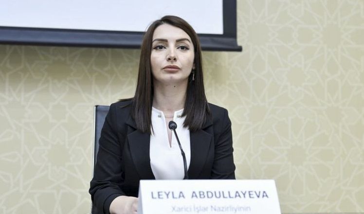 Leyla Abdullayeva: “Gərginliyin artmasına görə məsuliyyəti Ermənistan daşıyır!"