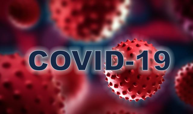 COVİD-19 pandemiyası bu il başa çatacaq