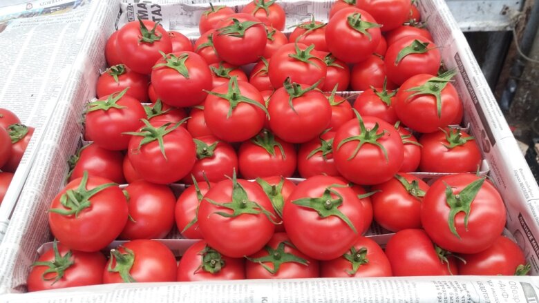 Rusiya Azərbaycandan göndərilən pomidor və çiyələyi geri qaytarıb