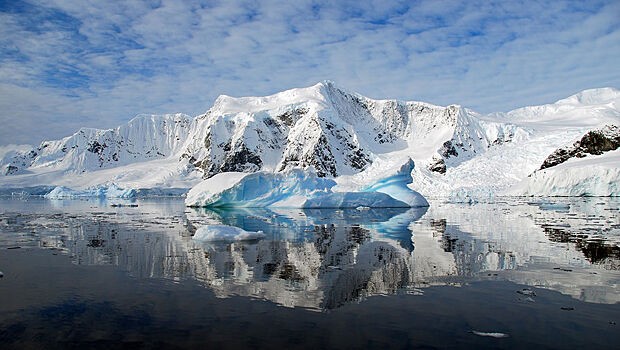 Antarktidada buzların 40 faizi əriyib