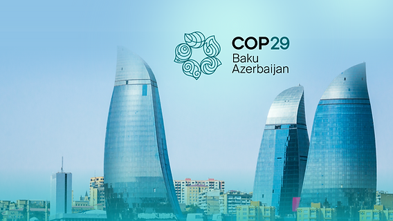 COP29 - Dünyanı sevindirən 13 gün: nəticələr və perspektivlər