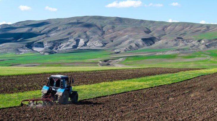 Əkin subsidiyası ilə bağlı yeni qərar qəbul olunub