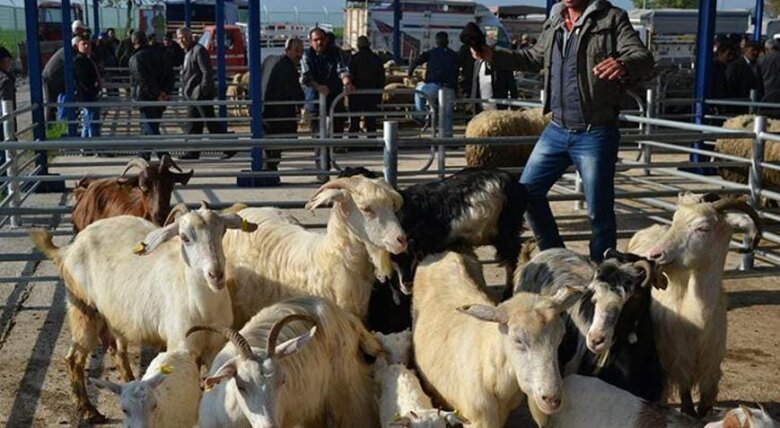 Türkiyənin 15 məhəlləsində karantin tətbiq edilib