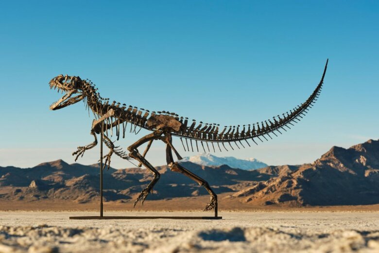 Dinozavr skleti 6 milyon dollara hərraca çıxarılacaq