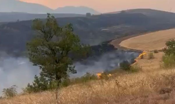Qubada əkin sahəsini yandıran şəxs saxlanılıb
