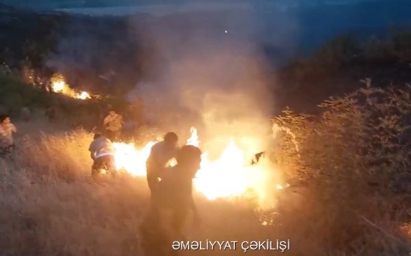 Şəkidə qəsdən yanğın törədən şəxslər həbs olunublar