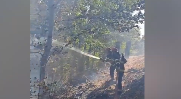 Xocavənd, Ağdərə və Zəngilanda yanğın: helikopterlər cəlb olunub - Video