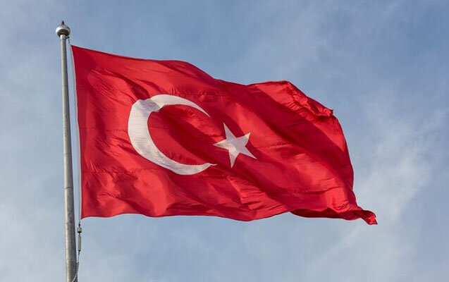 Türkiyədə türkəsilli əcnəbilərə işləmək hüququ verilib