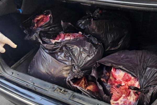 Bərdədə at ətinin mal əti adı ilə satmaq istəyən şəxs saxlanılıb