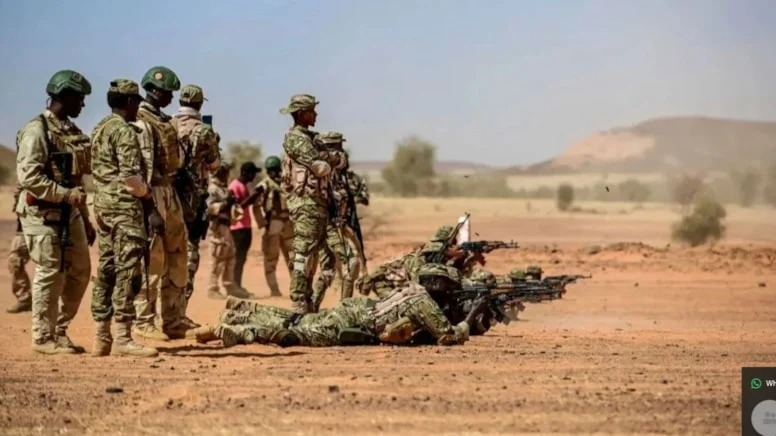 Fransada məcburi hərbi xidmət bərpa olunur