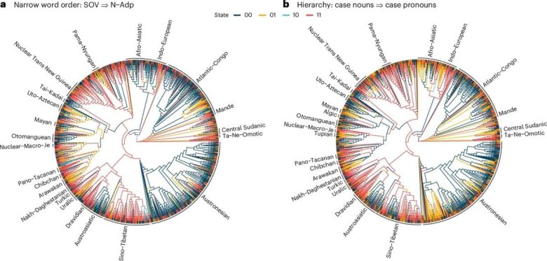 Linqvistika sahəsində böyük yeniliklər gözlənilir