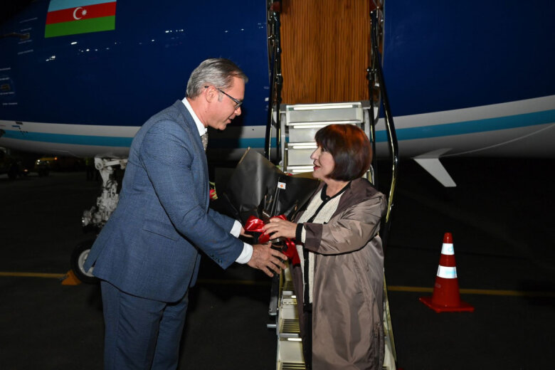 Milli Məclisin sədri Braziliyaya səfər edib