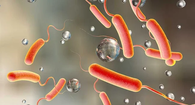 Afrikada vəbaya yoluxanların sayı 300.000-i keçib, 7000-dən çox ölüm qeydə alınıb