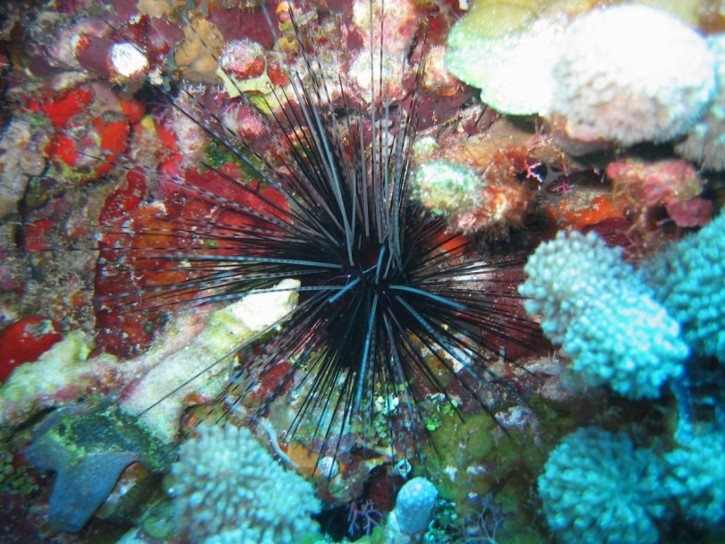 Alimlər həyəcan təbili çalır