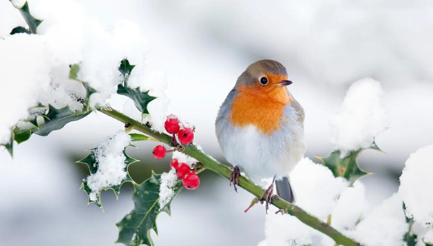 Azərbaycan ərazisində leysan və qar yağır