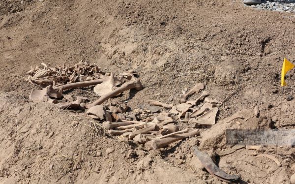 Ağdamda insan sümükləri tapılıb