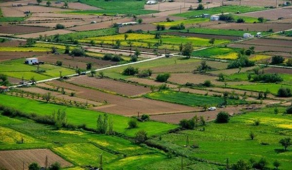 Qırmızı Bazarda əkin sahələri icarəyə veriləcək