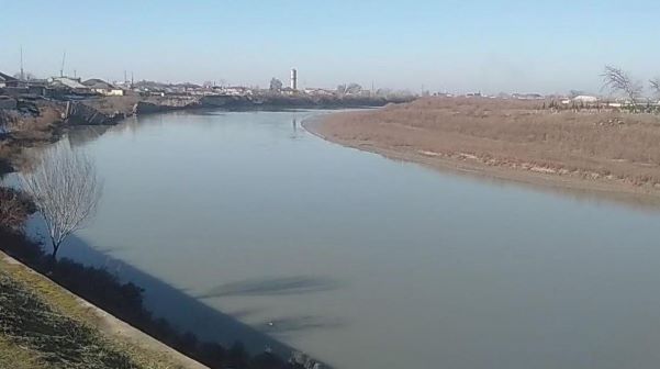 Salyanda kür çayında bir nəfər boğulub