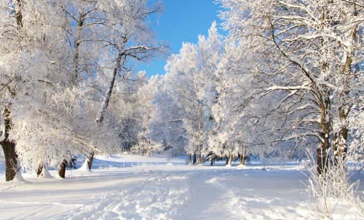 Növbəti üç gündə qar yağacaq